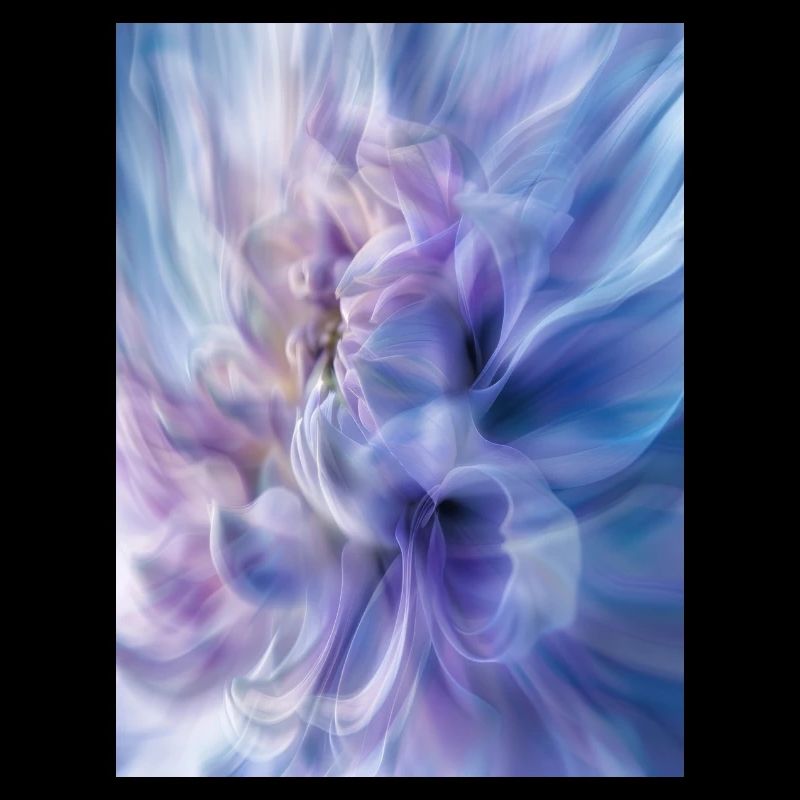 Affiche ICM Flower 1