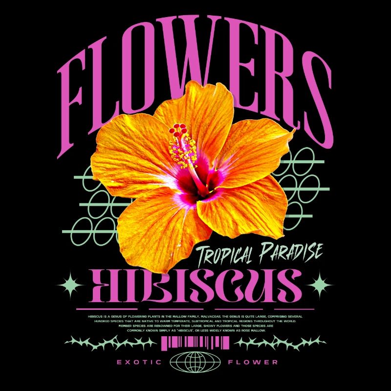 Fleur d’hibiscus Fleur d’hibiscus