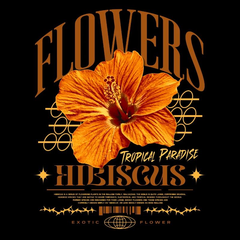Fleur d’hibiscus Fleur d’hibiscus