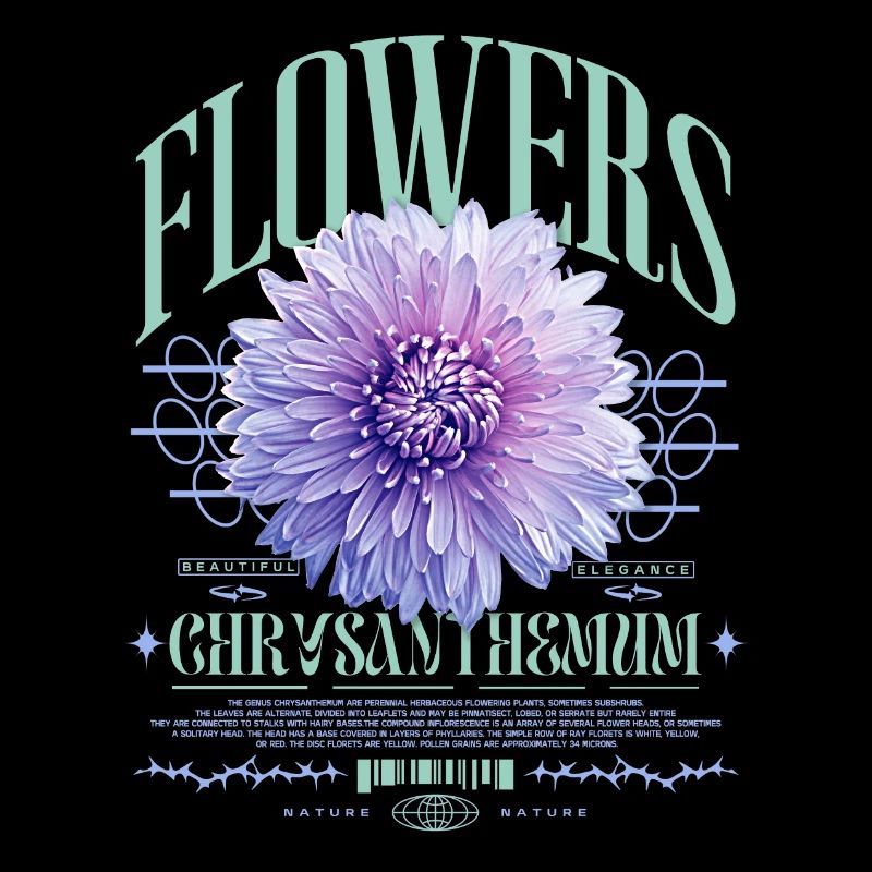 Chrysanthème Chrysanthèmes
