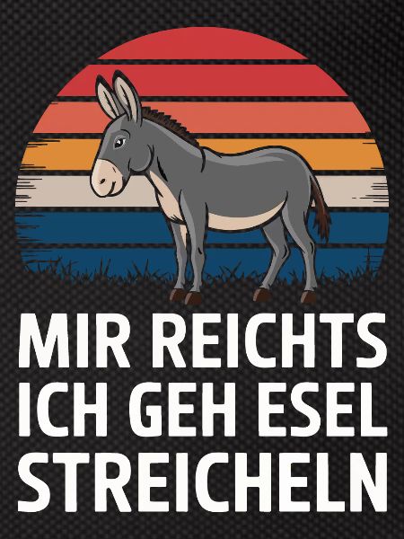 Donkey Donkey Mule Muli