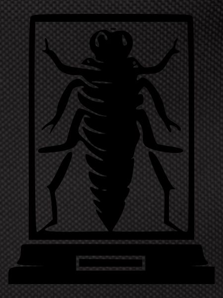 Insecte musée