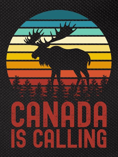 Canada moose