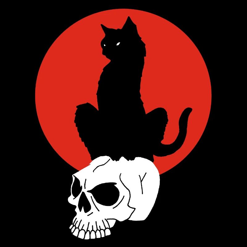 Chat noir et soleil rouge