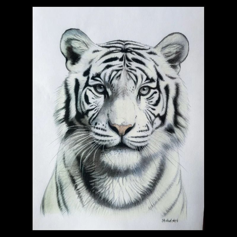 White Tiger - Weisser Tiger