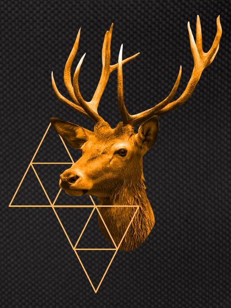 Cerf doré
