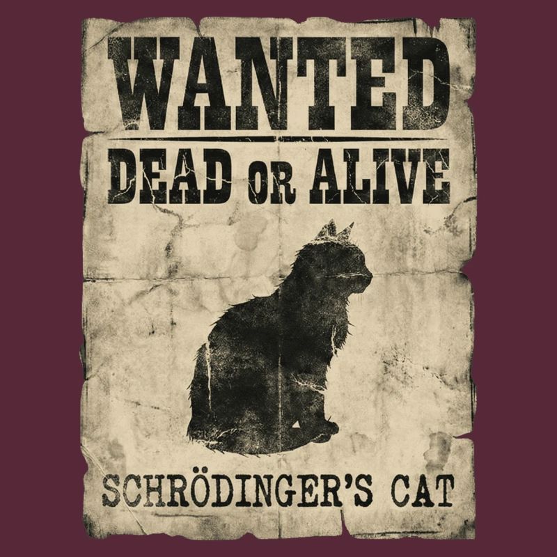 Schrödinger's Cat Wanted Dead Or Alive Physics Pun