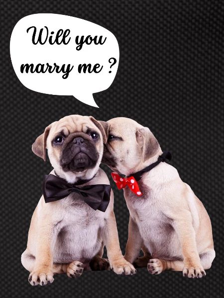 Will you marry me?