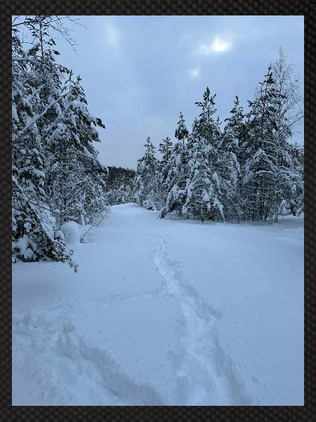 Winterwanderwege im Schneewald