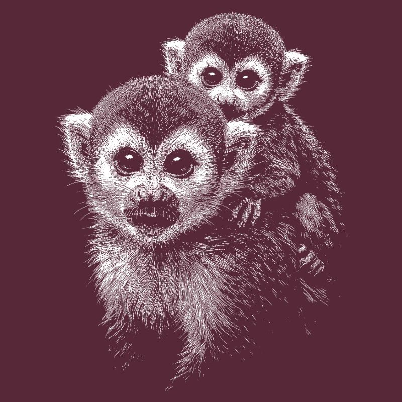 Squirrel monkey