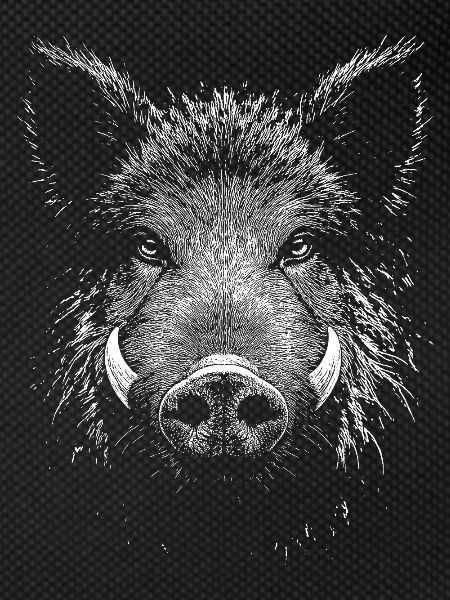 Wild boar