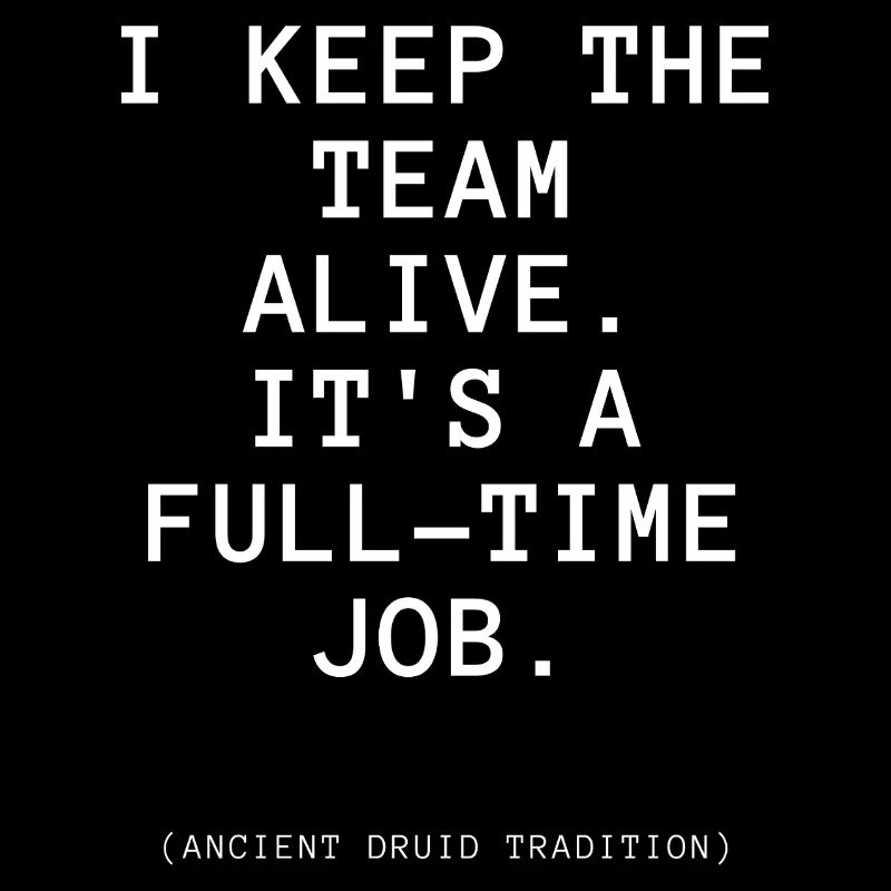 DeD-Druiden-T-Shirt
