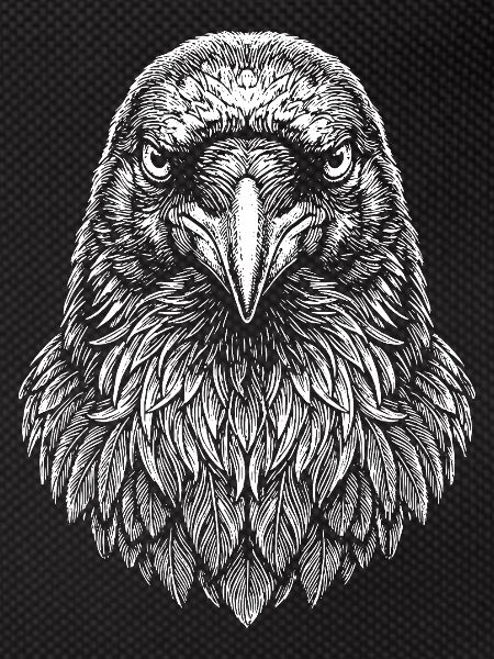 Aviator Eagle Headline Art