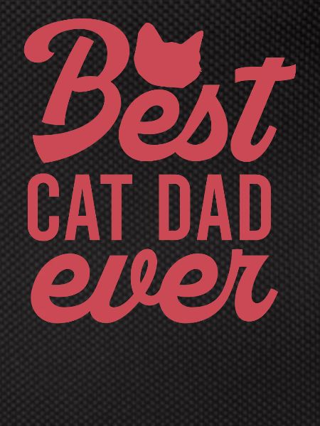 Best Cat Dad ever