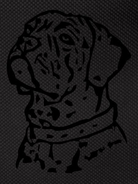 canecorso02