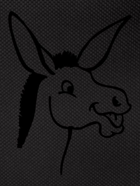 Donkey