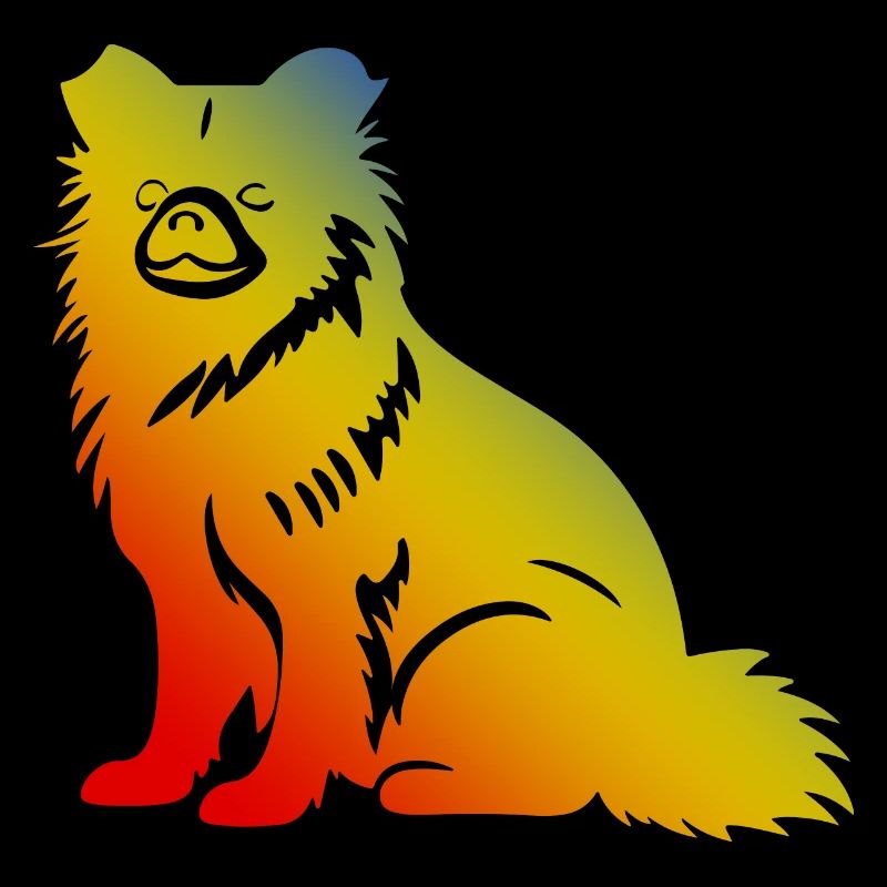 Zwergspitz Hund Bunt Pomeranian