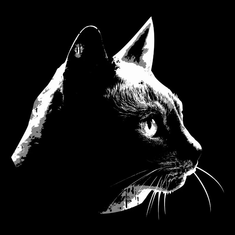 Silhouette de chats