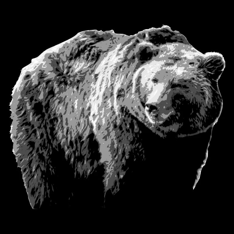 Bear Grizzly Bear Brown Bear Predator Wildlife Bears