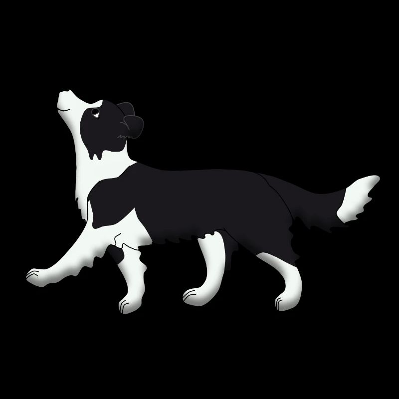 Obedience Border Collie