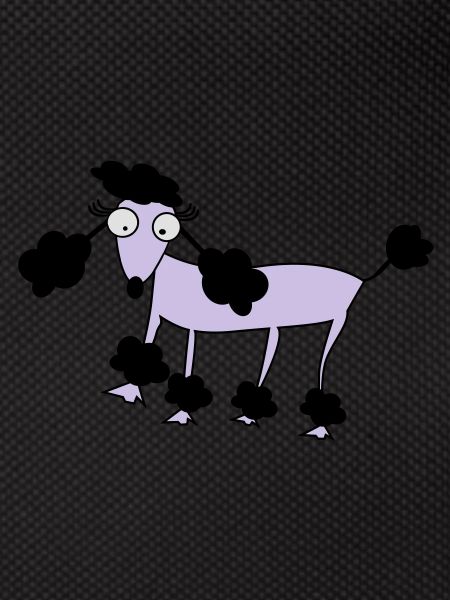 poodle
