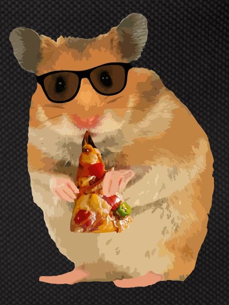 Hamster Pizza Sunglasses