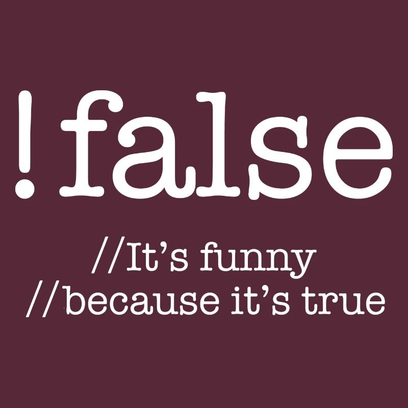 False Programming Coding Programmers Gift