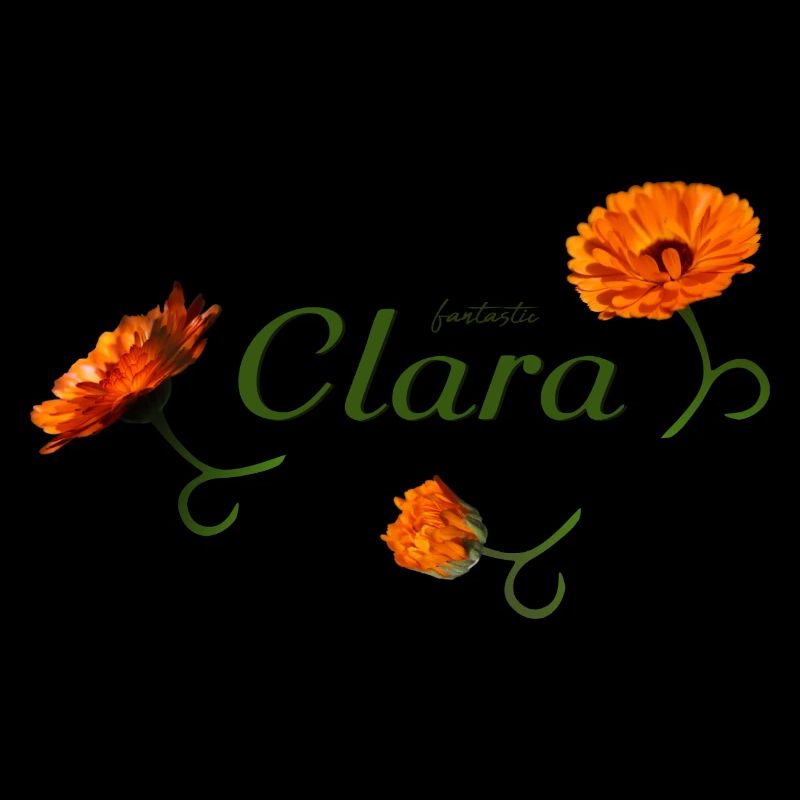 L’anniversaire de Clara Clara