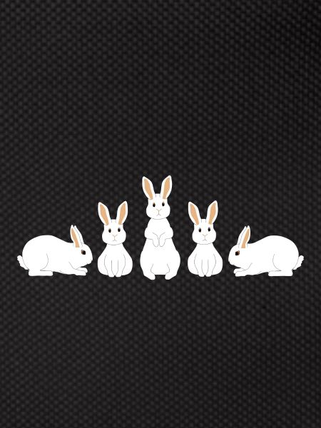 5 lapins blancs