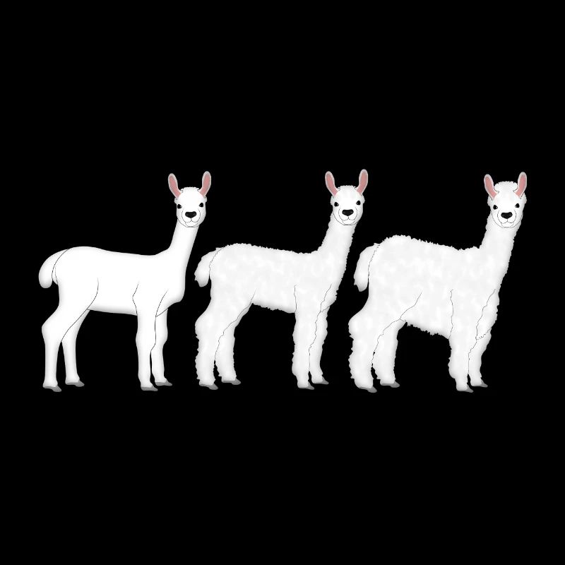 Alpaca wool