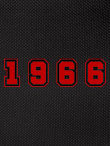 1966 Year Number
