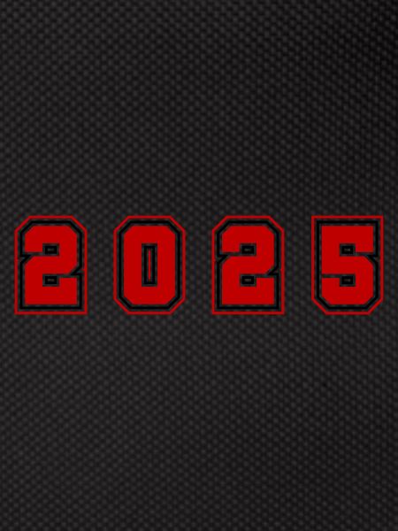 2025 Year Number