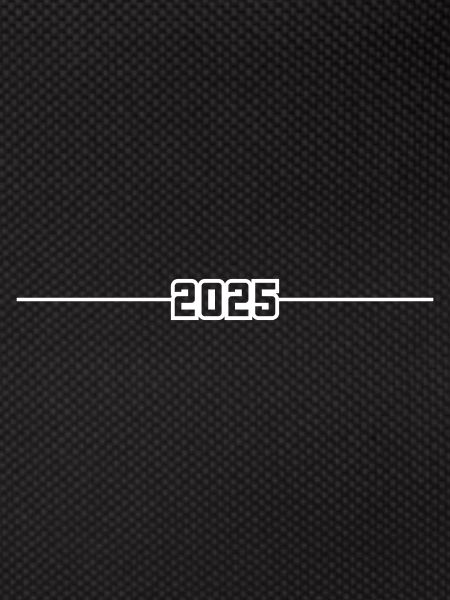 2025 year