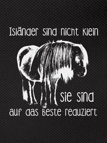 Islandpferd
