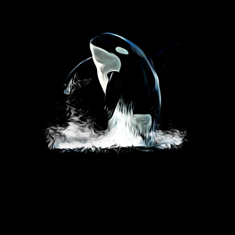 Orca