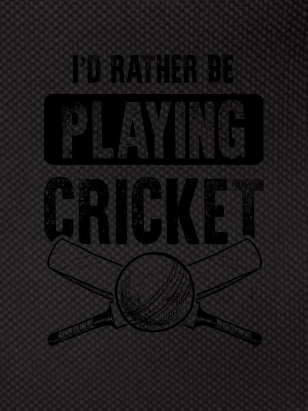 Playing Cricket