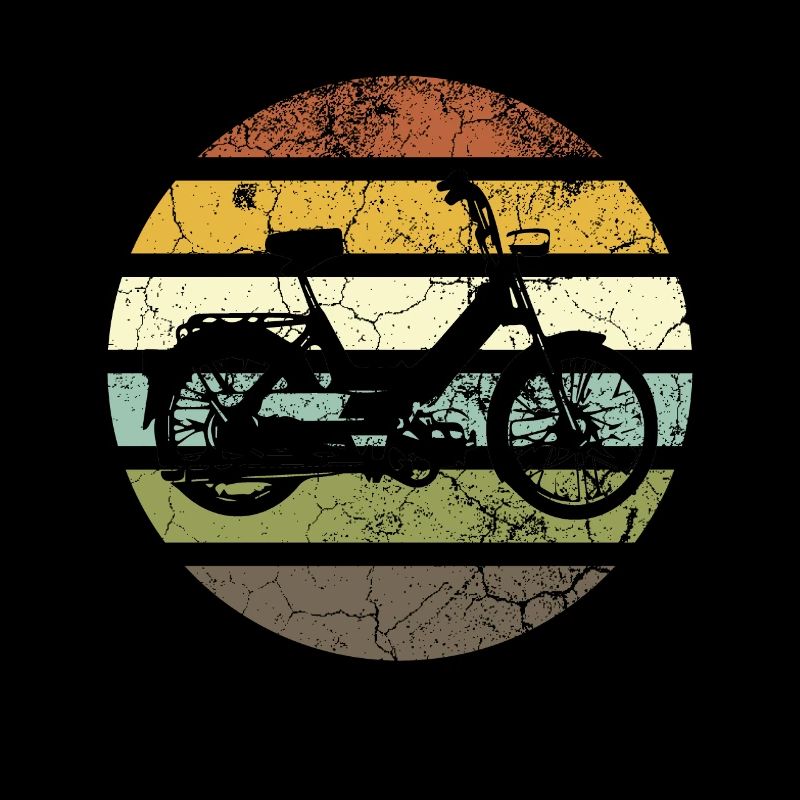 DDR Mobylette Oldtimer Roller Mofa Scooter 2 Takter