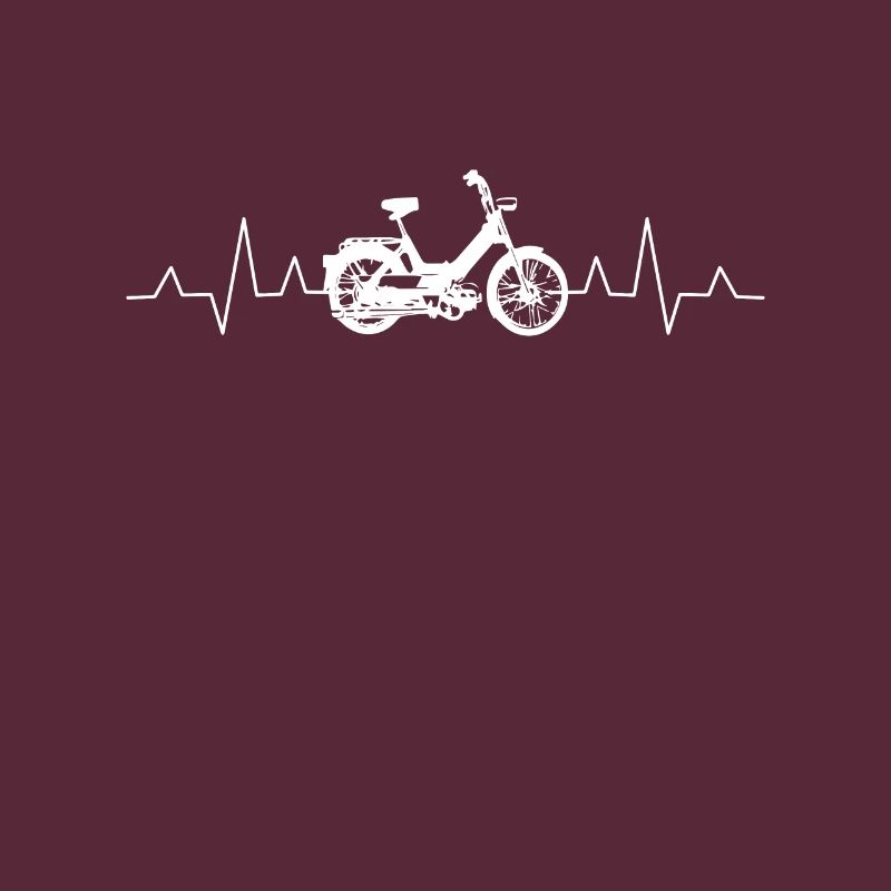 DDR Mobylette Oldtimer Roller Mofa Scooter 2 Takter