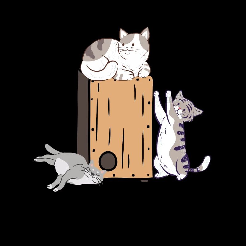 Cajon Box Drum Instrument Peruvian Cajon