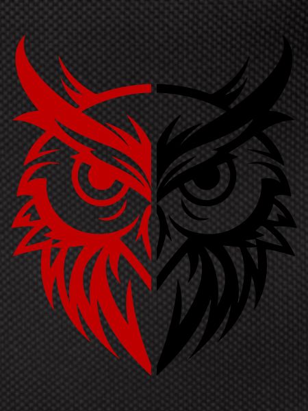 Owl Animal