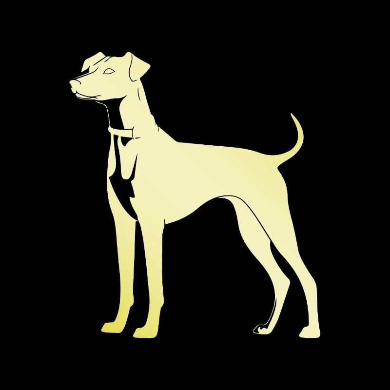 Whippet Hund Silhouette