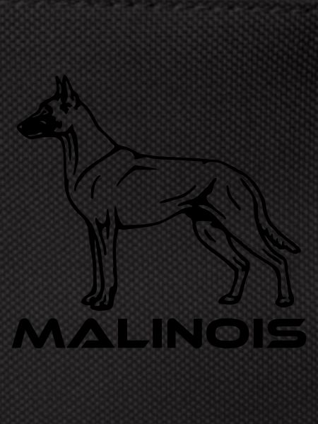 519 Malinois