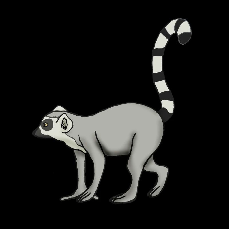 Lemur Katta