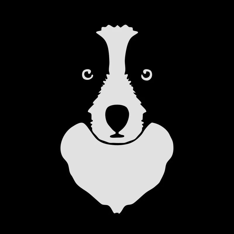 border collie schäferhund kopfzeichnung hund