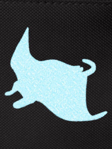 Rays Manta