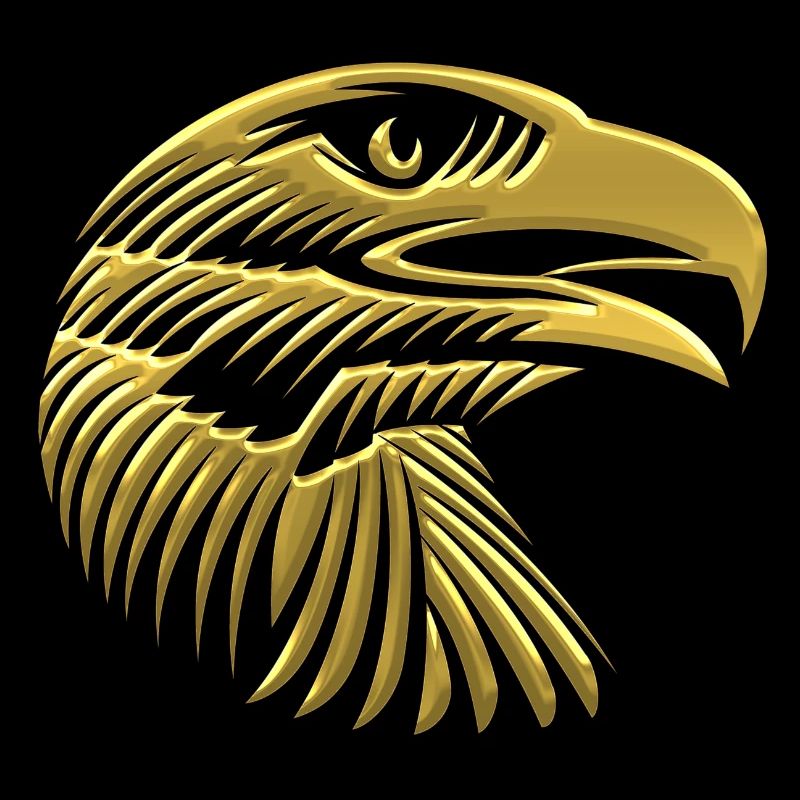 Eagles Eagle Eagle bird falcon hawk