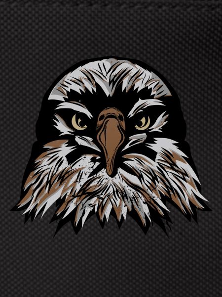 head eagle fancy drawing