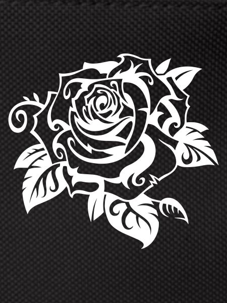 Rose blanche