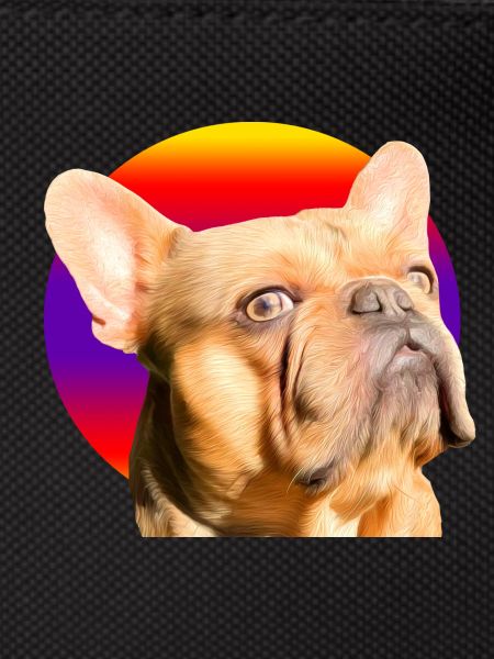 Freddie the Frenchie