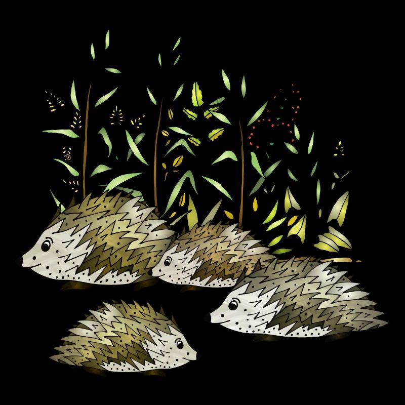 Hedgehogs